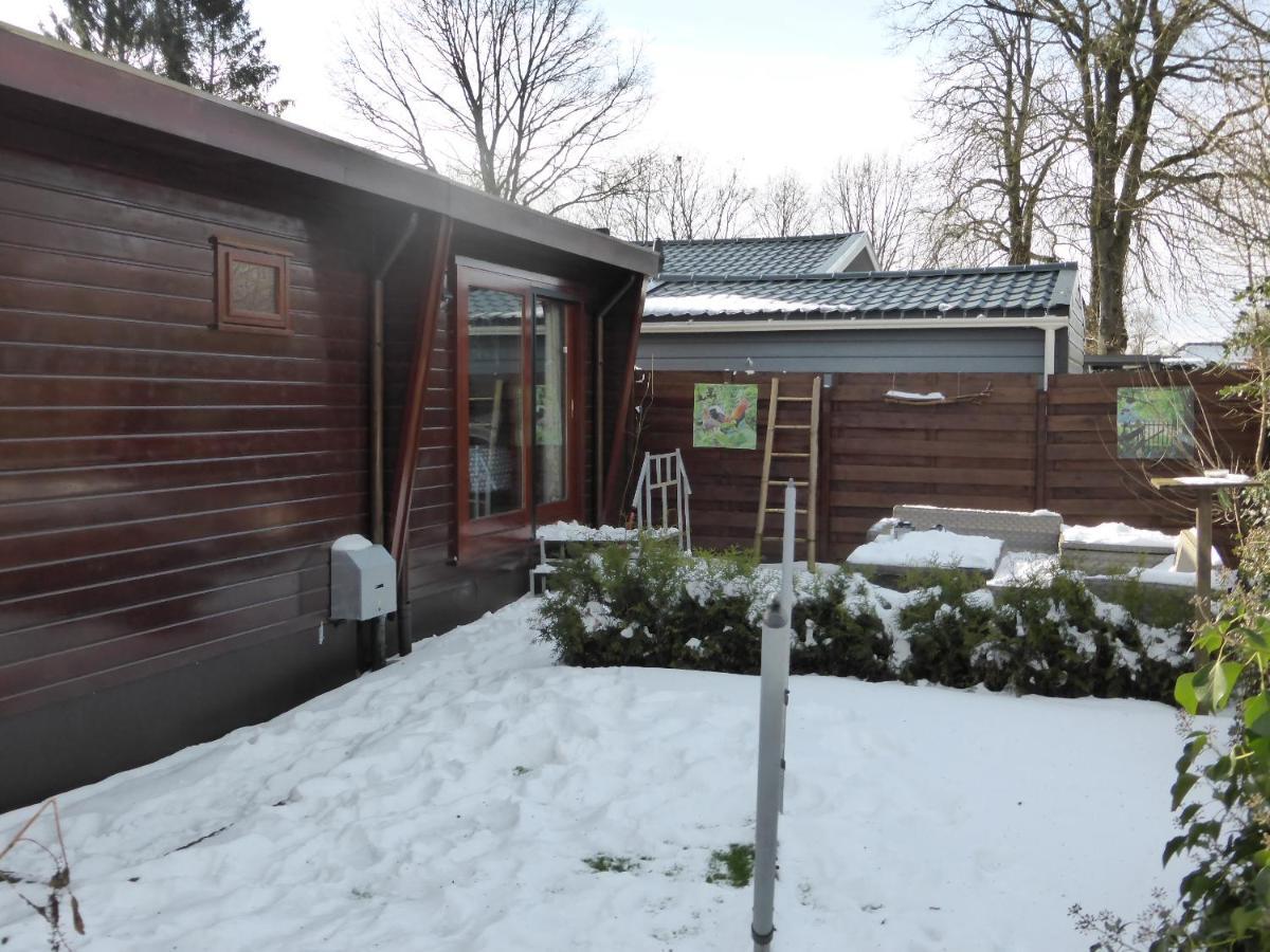 Veluwe Park Reewold Chalet Talisman Putten Zewnętrze zdjęcie